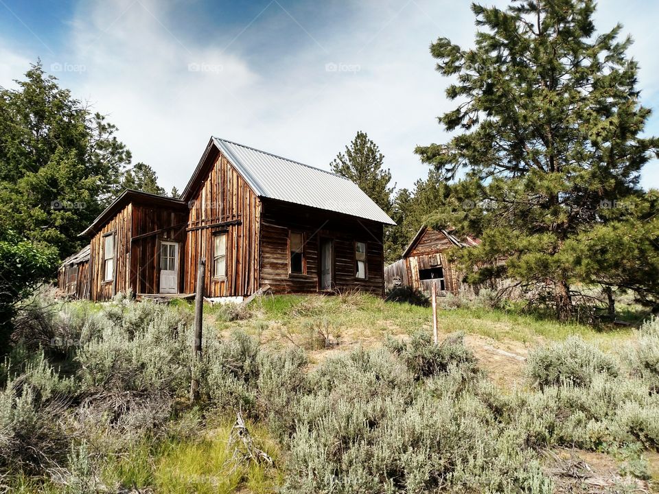 Abandoned Homestead