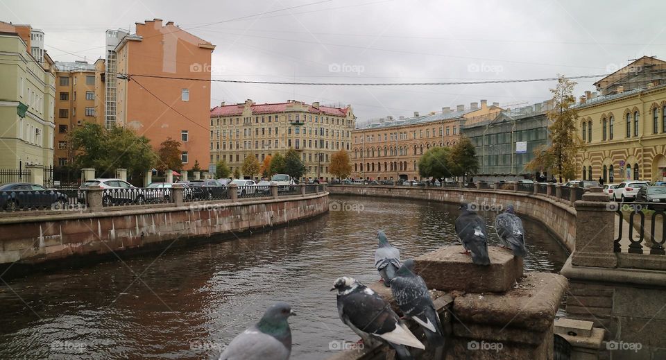 Griboyedov сanal, St.Petersburg