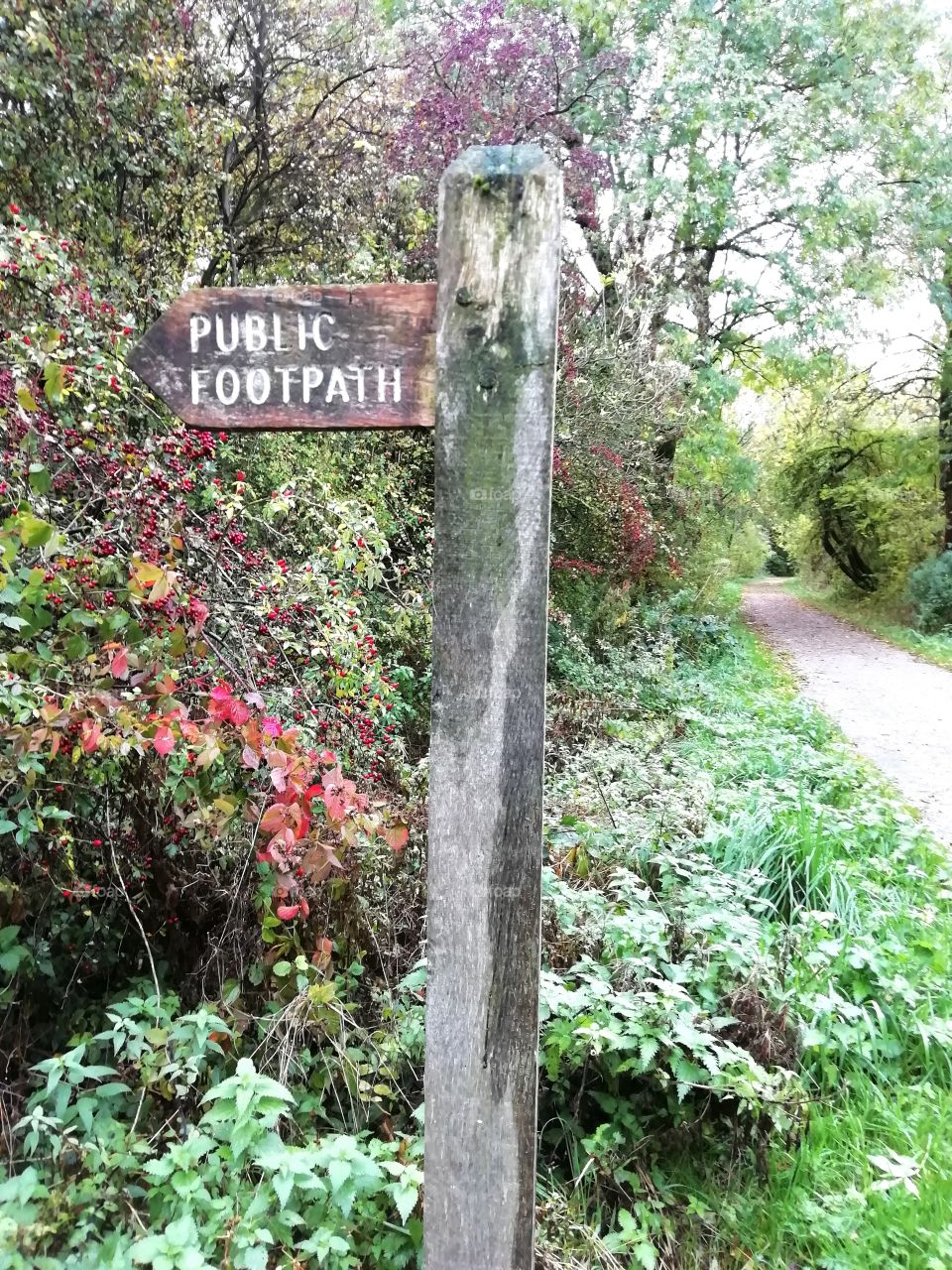 Footpath, Tissington trail, Derbyshire