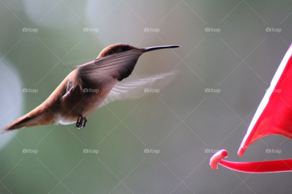 Hovering before landing 