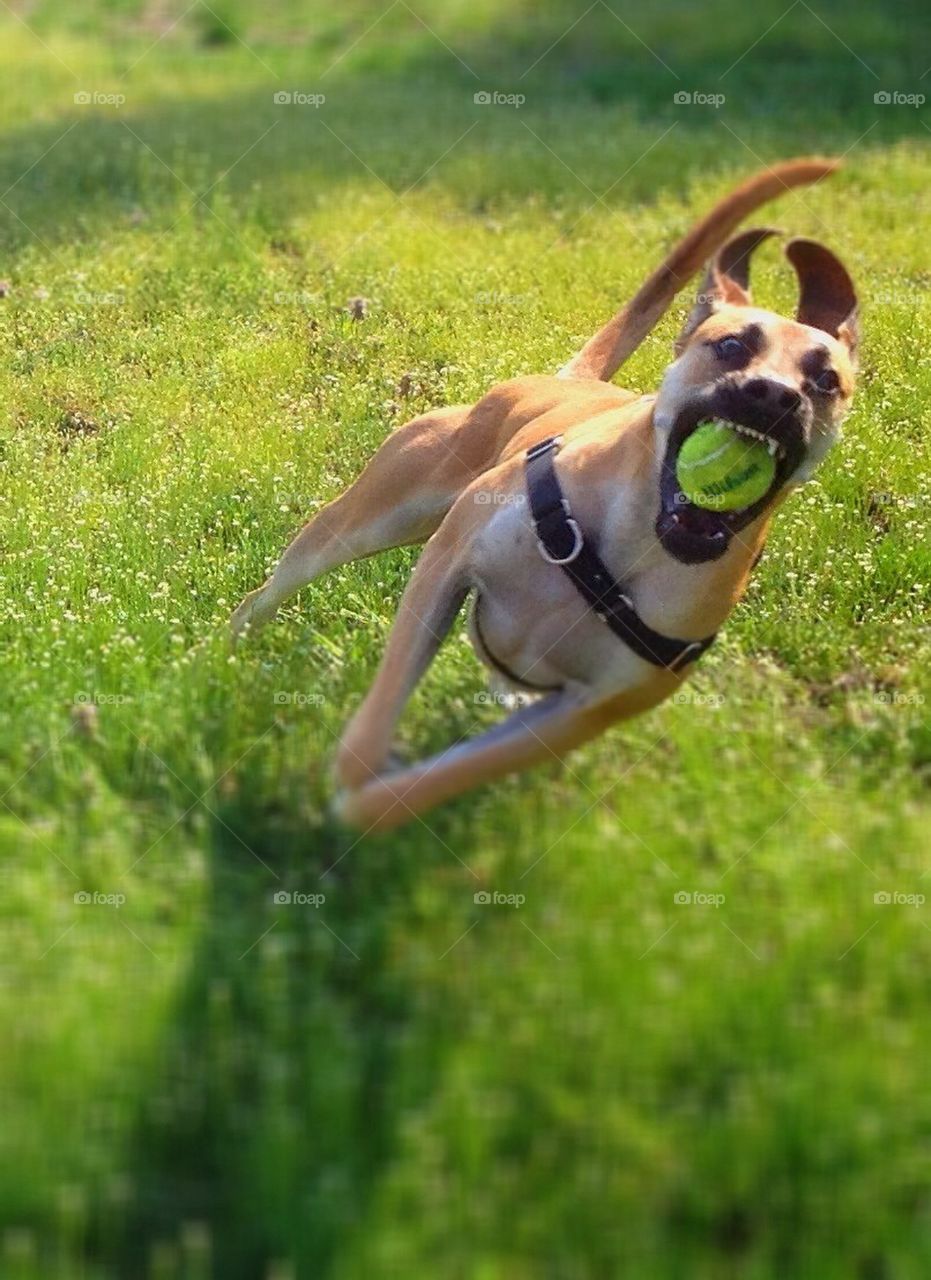 I've got the ball!