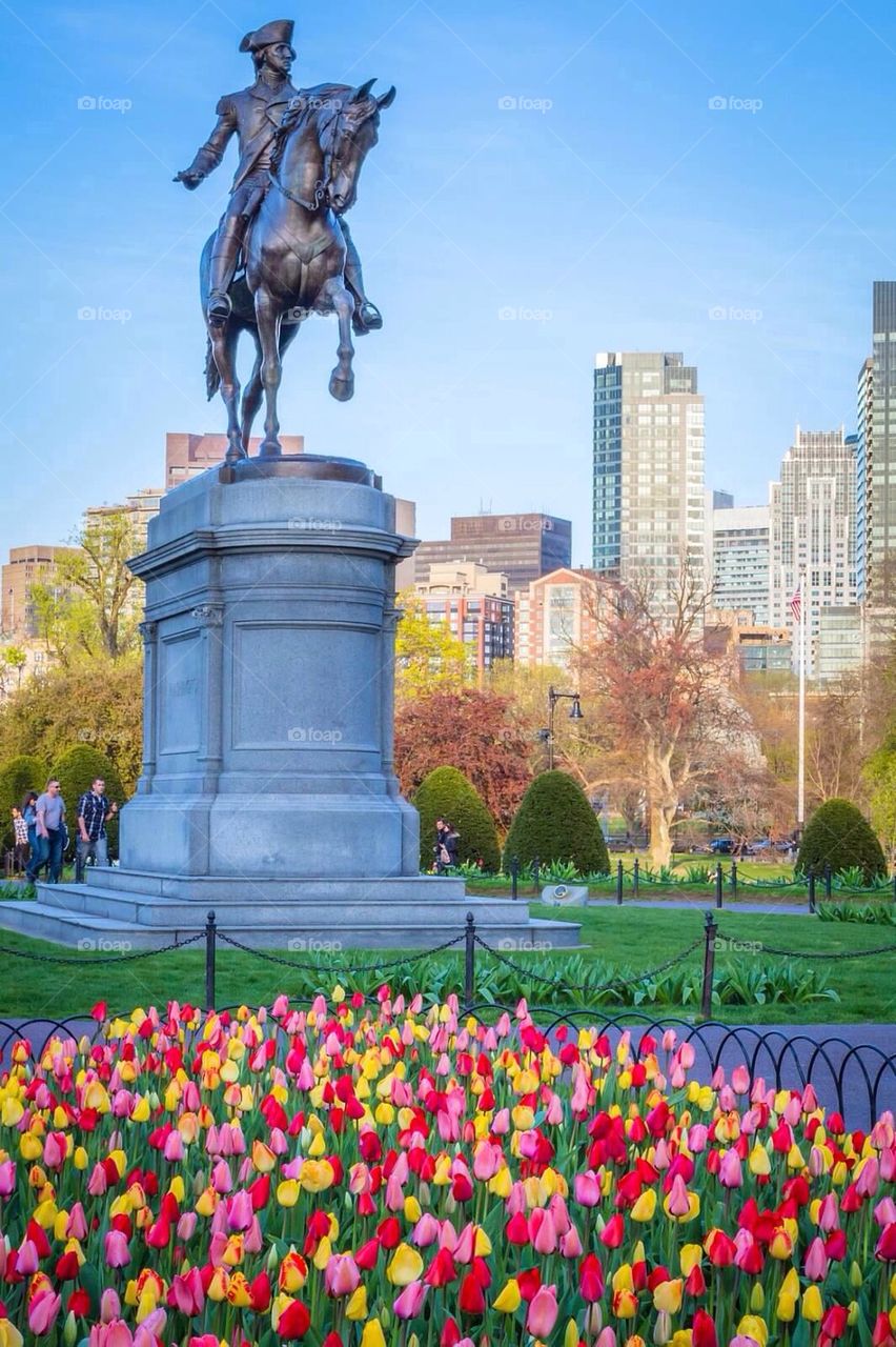 Boston Public Garden