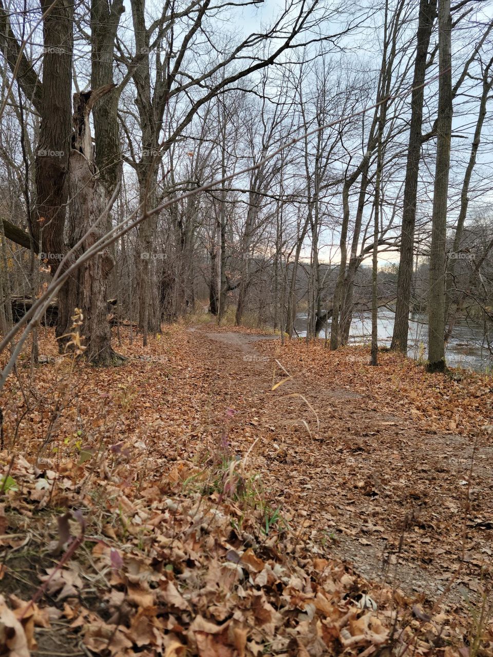 River Trail in Autumn