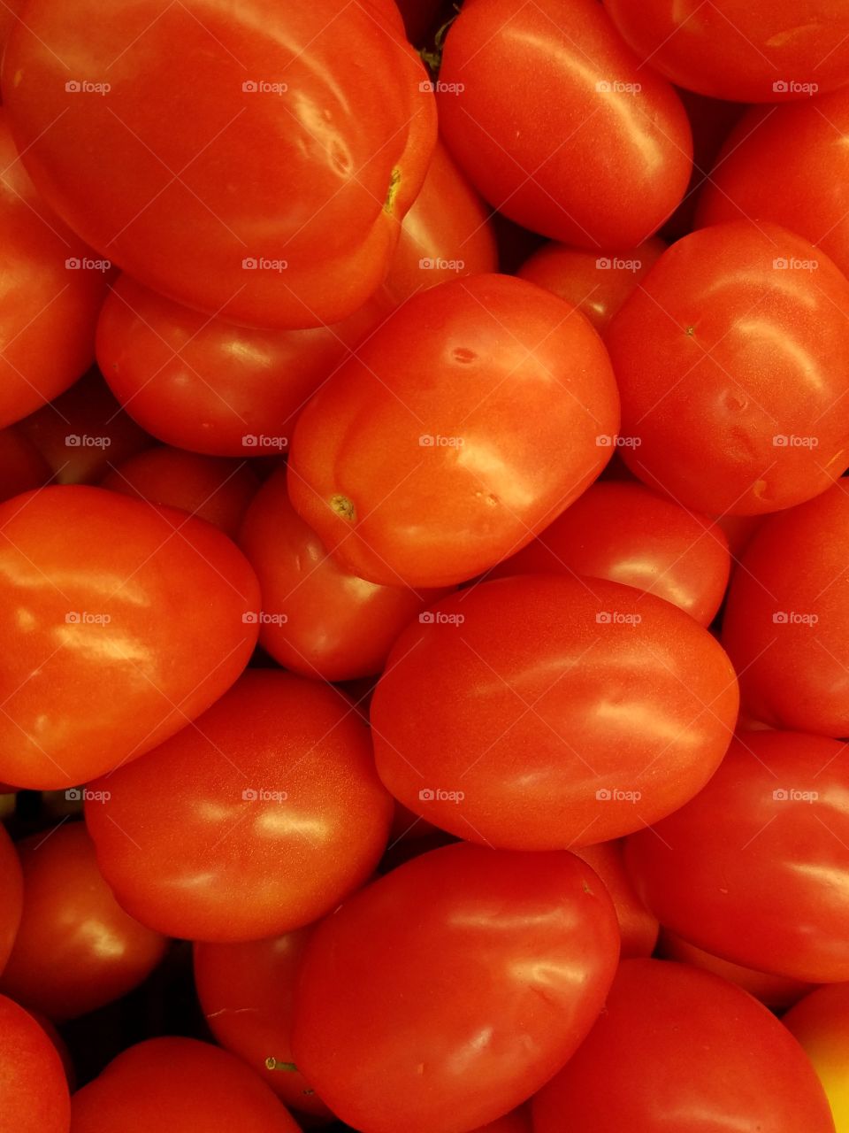 Roma Tomatoes