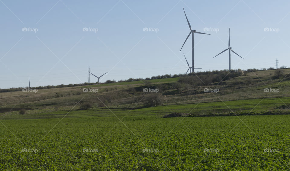 Wind turbines farm on green landscape.Green energy