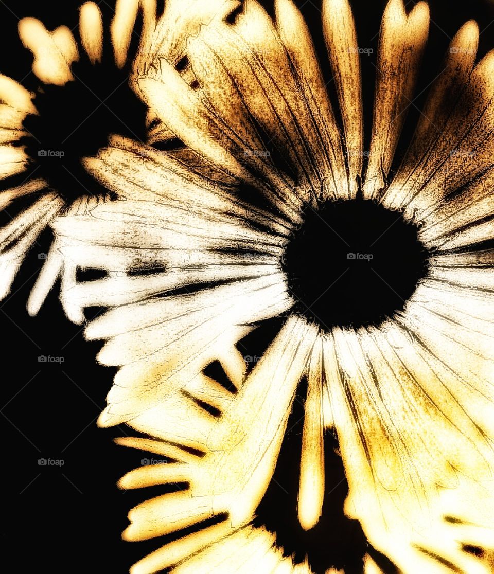 Purposely Manipulated