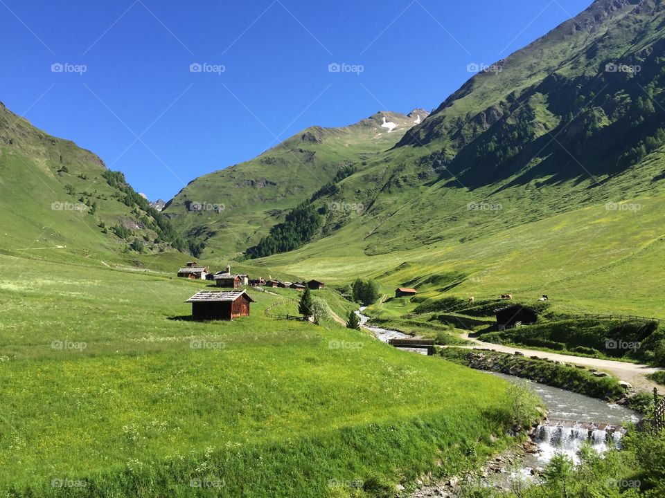 Barn house on agriculture field