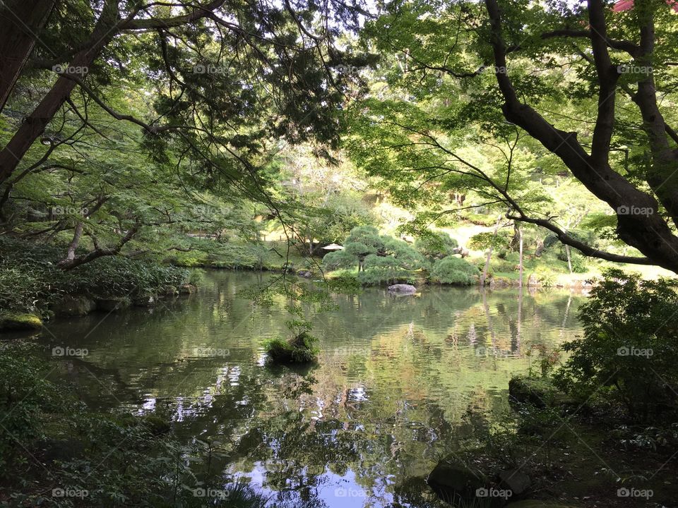 Japanese Garden lake 
