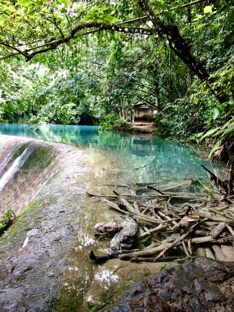 River in the jungle on the island of Cebu.