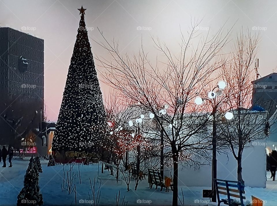 Christmas eve in winter park