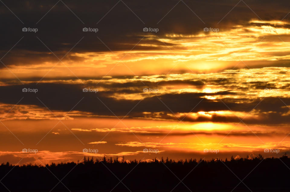 sky sunset forest fire by ibphotography