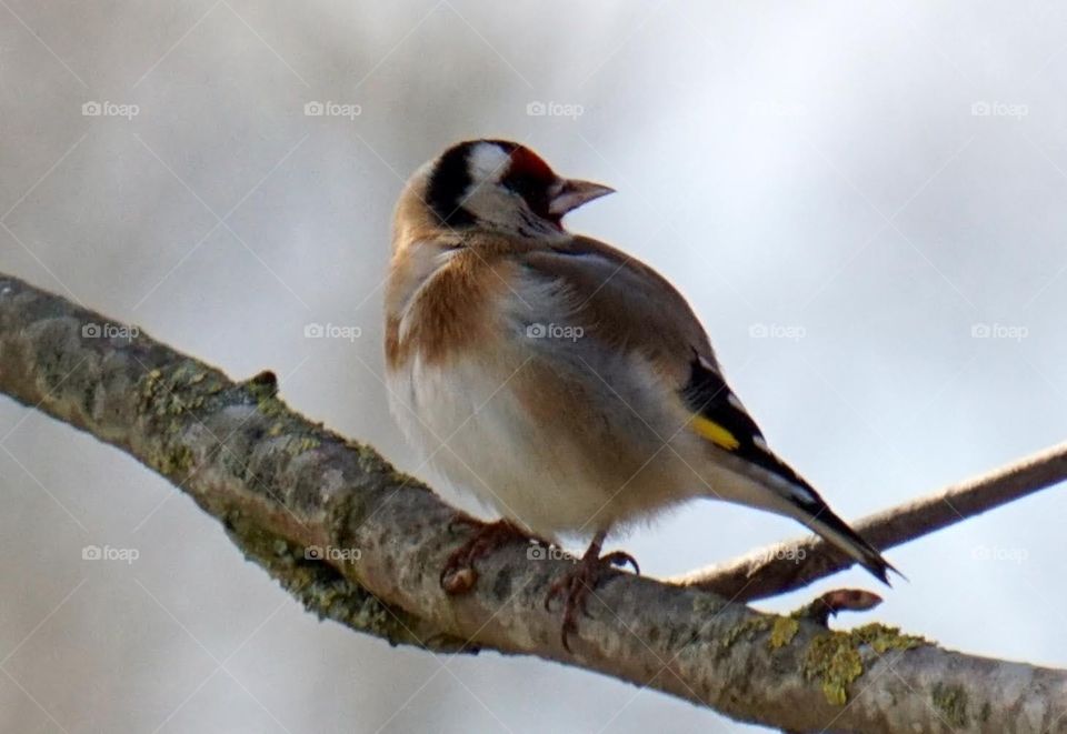 Willkommen im Garten.