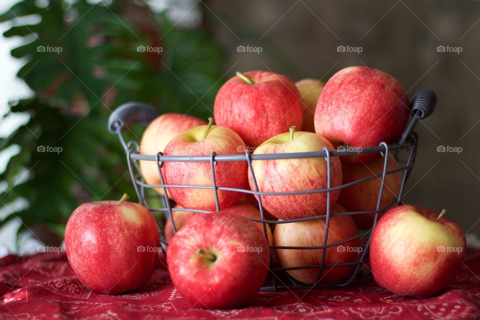 Fruits - apples in a wire basket on red bandana-print fabric