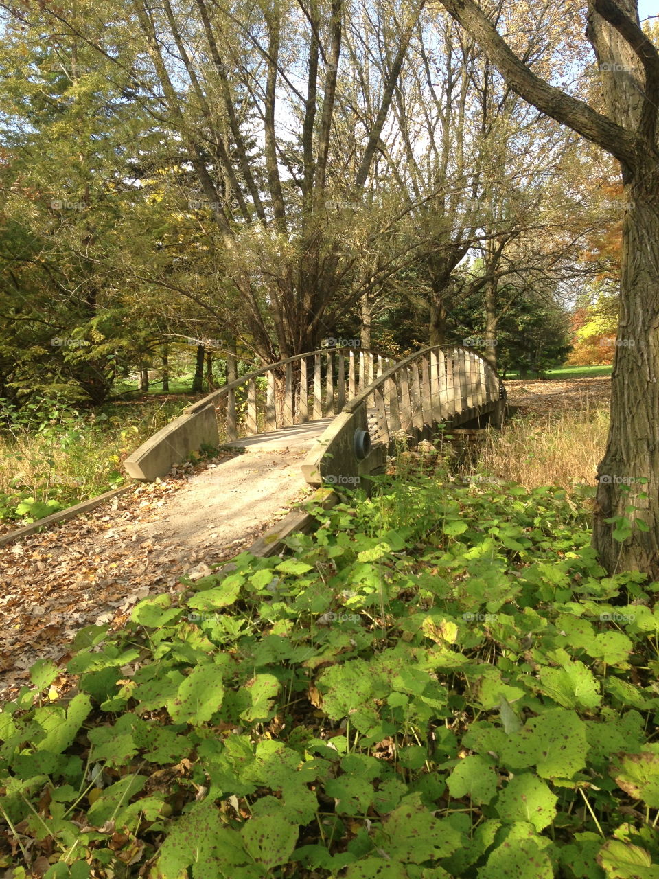 Bridge at The Arboretum Guelph, Ontario Canada 
