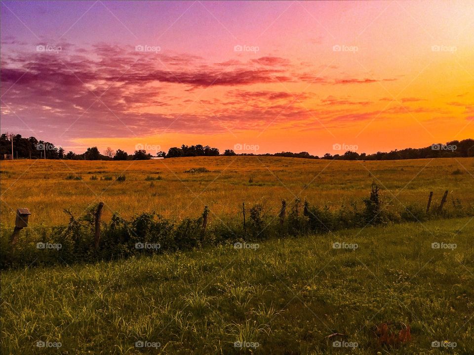 Orange sunrise. The vast meadow looked orange during sunrise