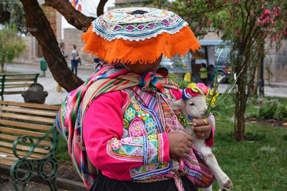 Peruvian Sheep Maid