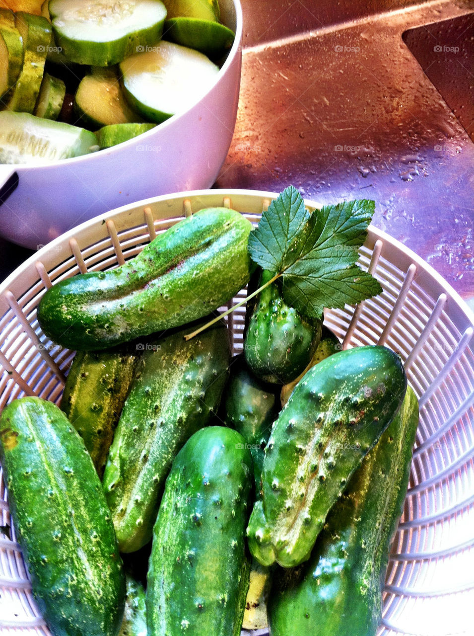 green garden food cucumber by bsa