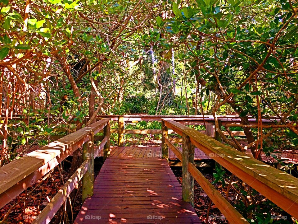 Boardwalk. Boardwalk in the golden hour