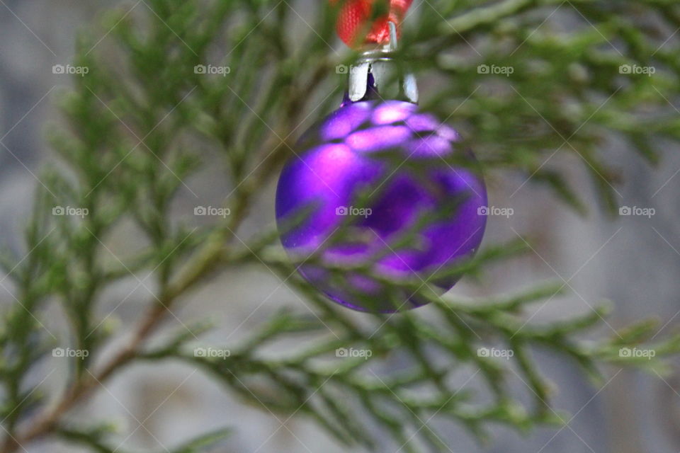 Purple toy for christmas tree.