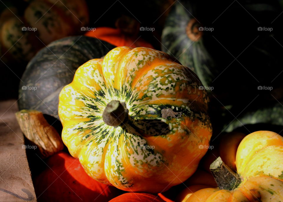 Pumpkin at local market.