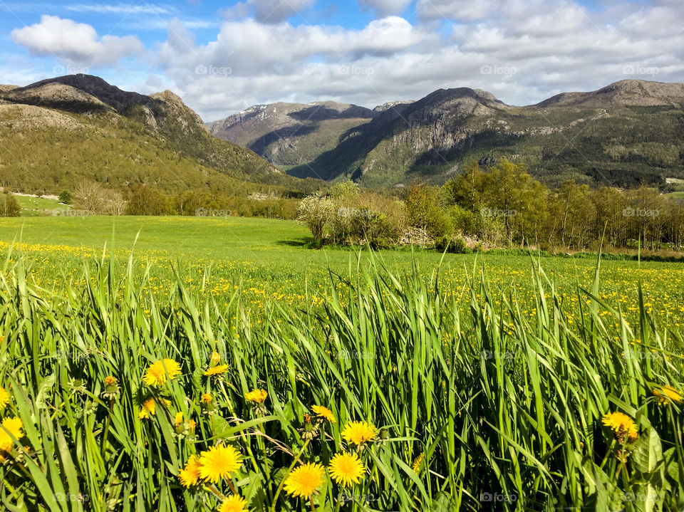 Spring in the mountains. 