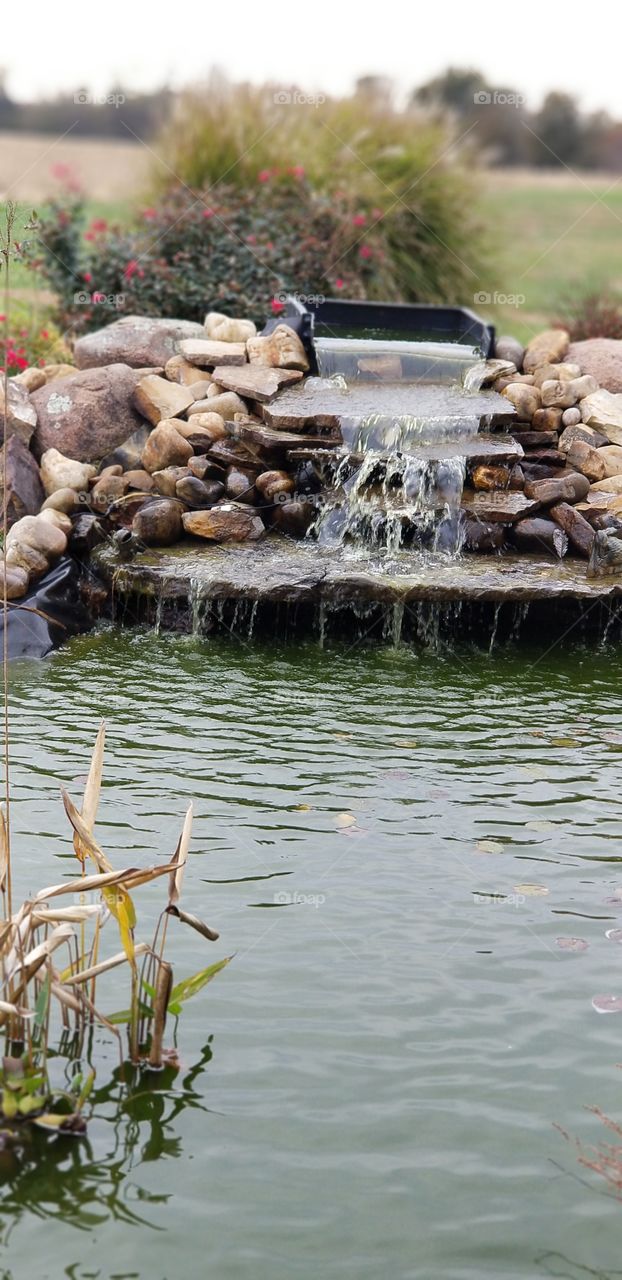 Fish Pond Waterfall