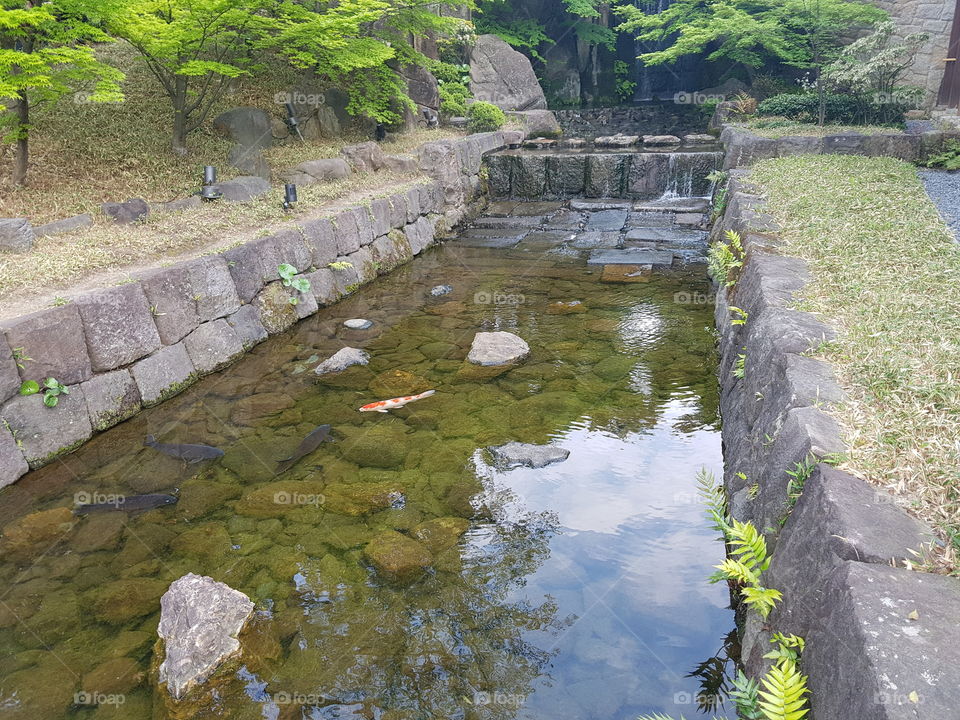 The waterfall at Tokugawa garden.