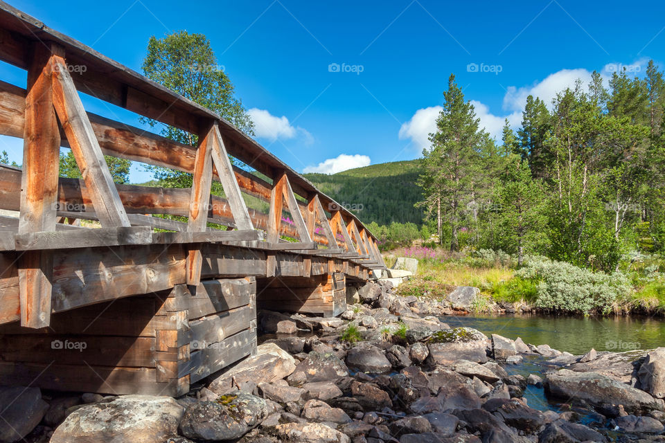 Wooden bridge across stream. Norway. Europe.