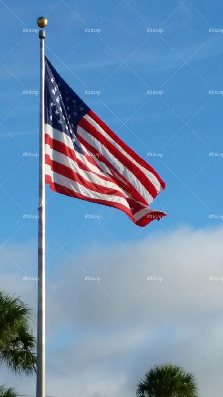 The American flag flying high