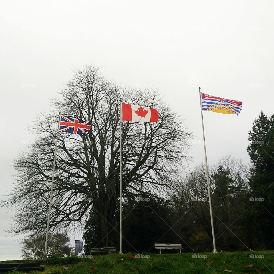 Flags in Vancouver