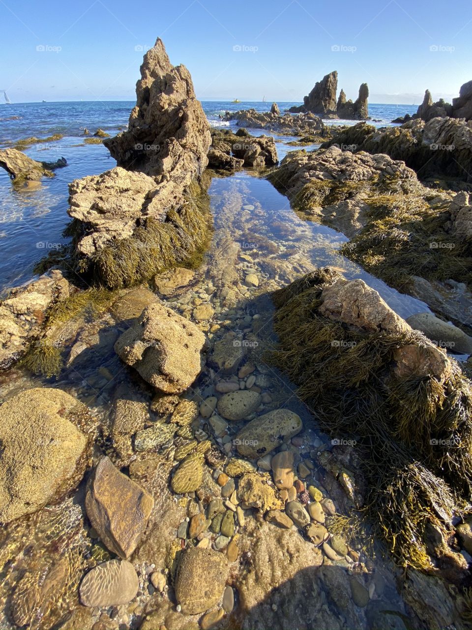 Tide pools at Little Corona del Mar Beach 