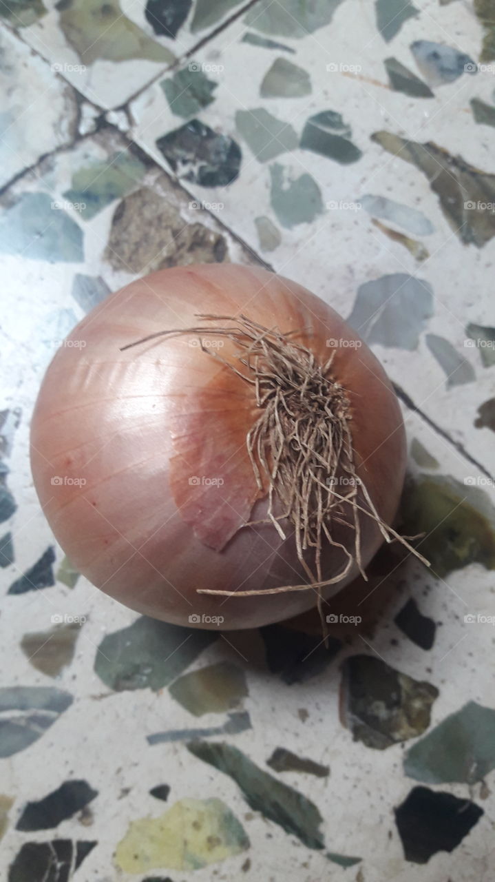 onion