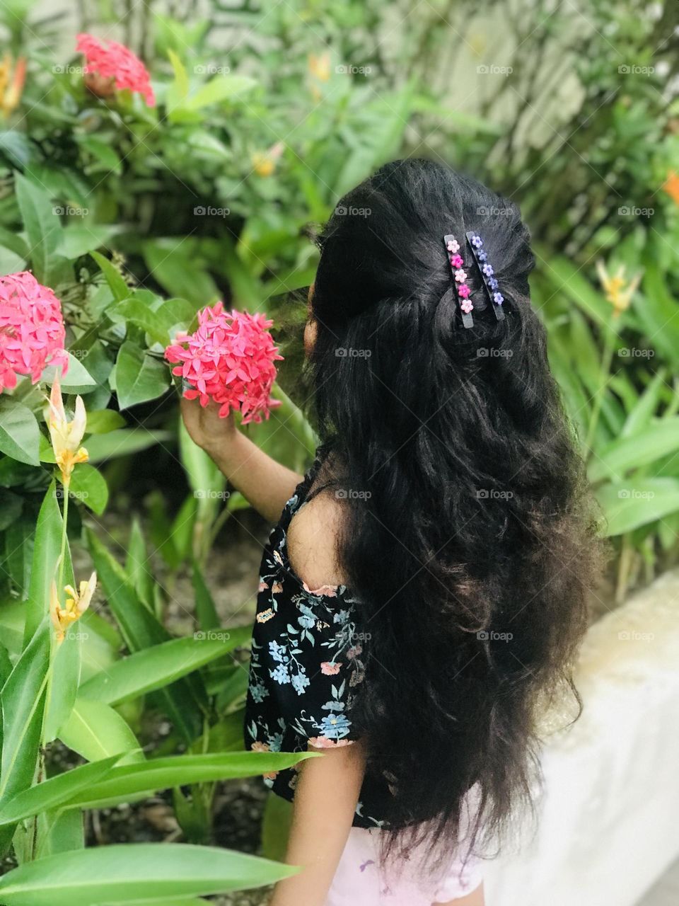 Beautiful long golden brown curly hair 