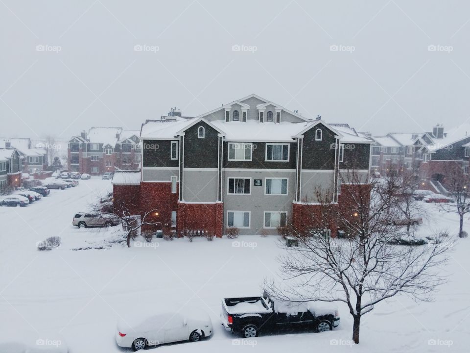 Echo winter storm