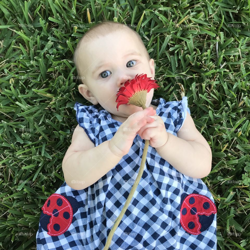 Make time to smell the flowers! Sweet baby holding a red flower and lying on a bed of lush green grass.