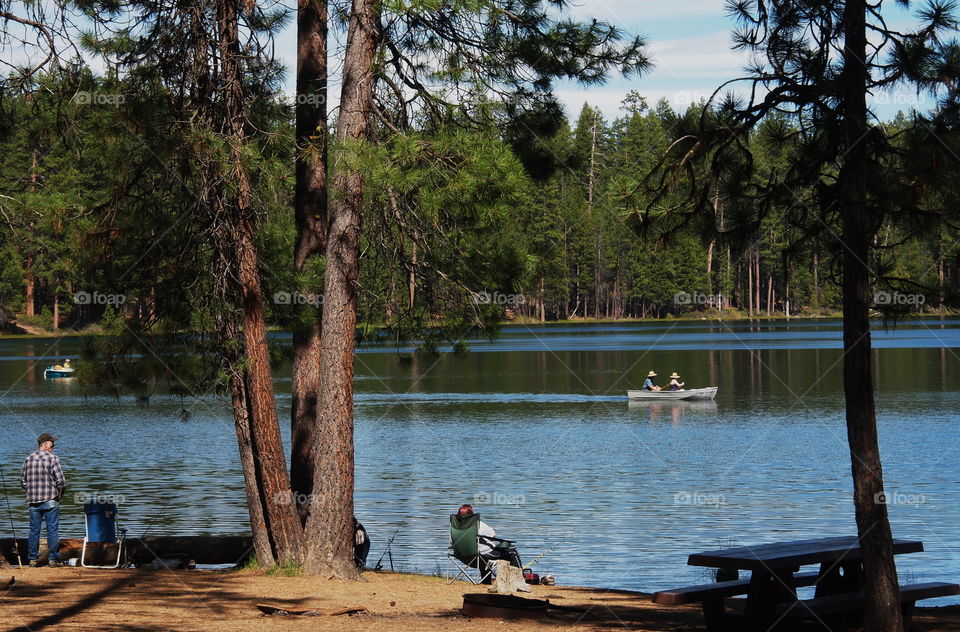 Summer vacation in the Oregon forest 