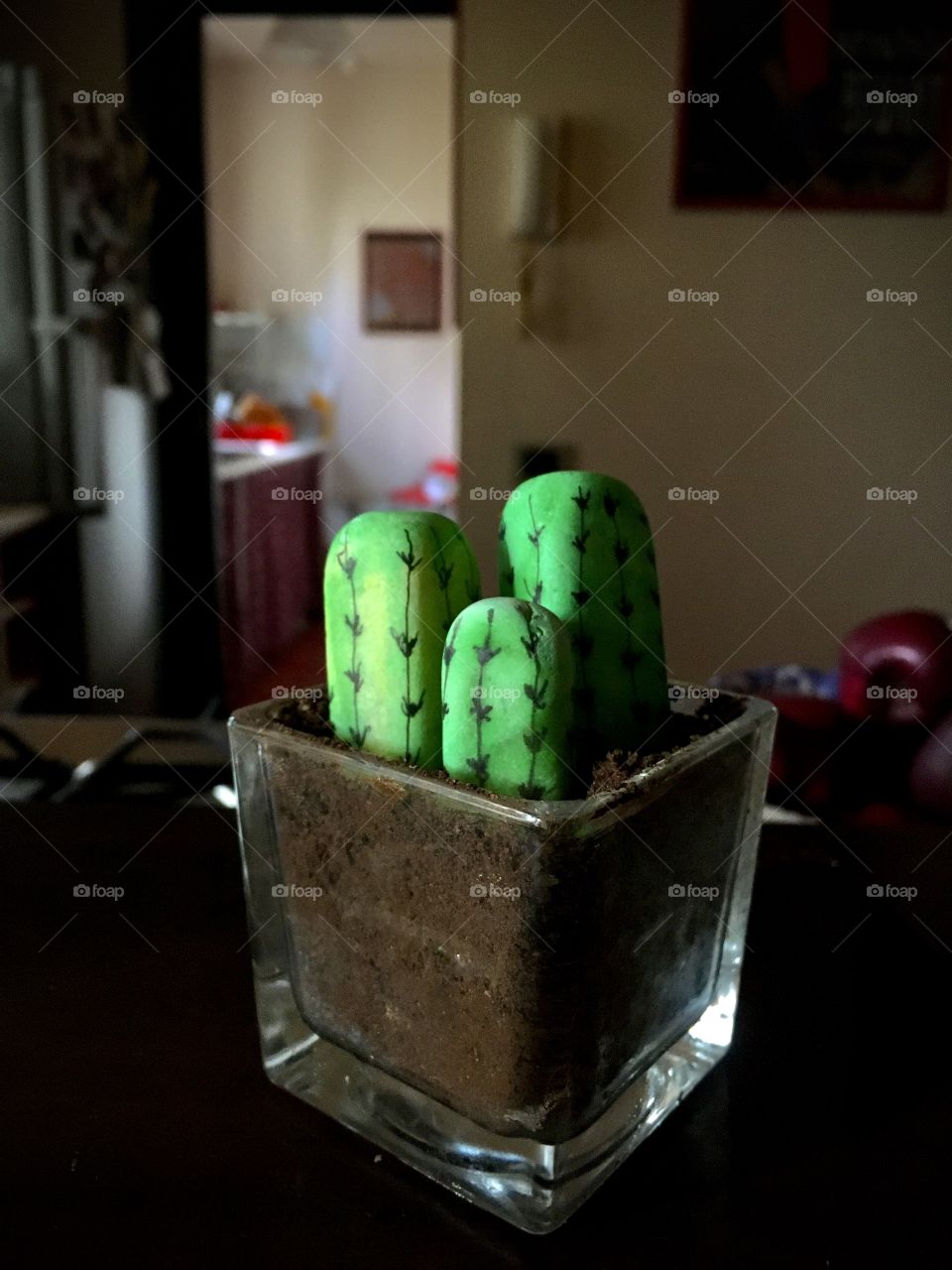 Cactus di pietra