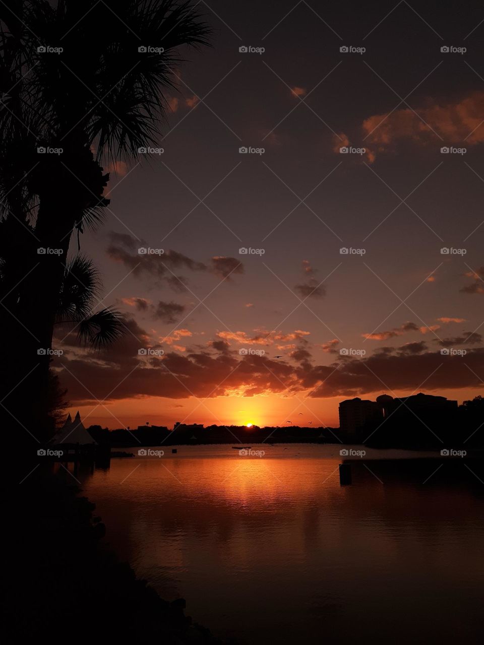 An orange, reddish sunset above the lake at Cranes Roost Park in Altamonte Springs, Florida.