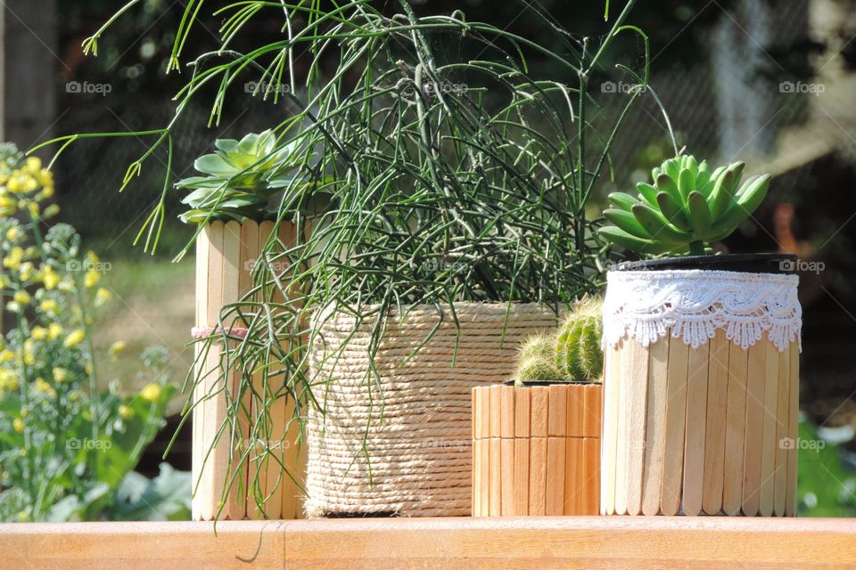 Vases I made with popsicle sticks, clothespins, string and creativity. ✌