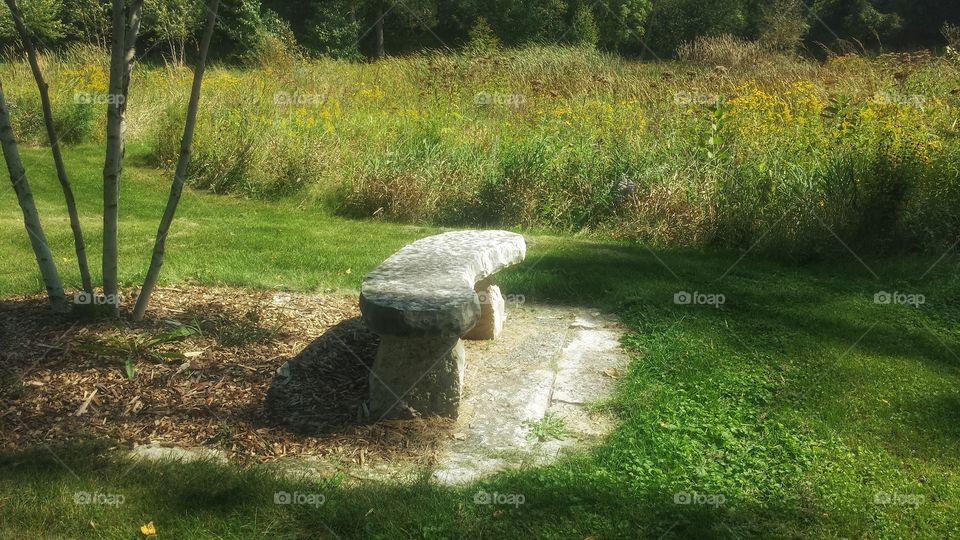 Nature. Bench for Quiet Contemplation 