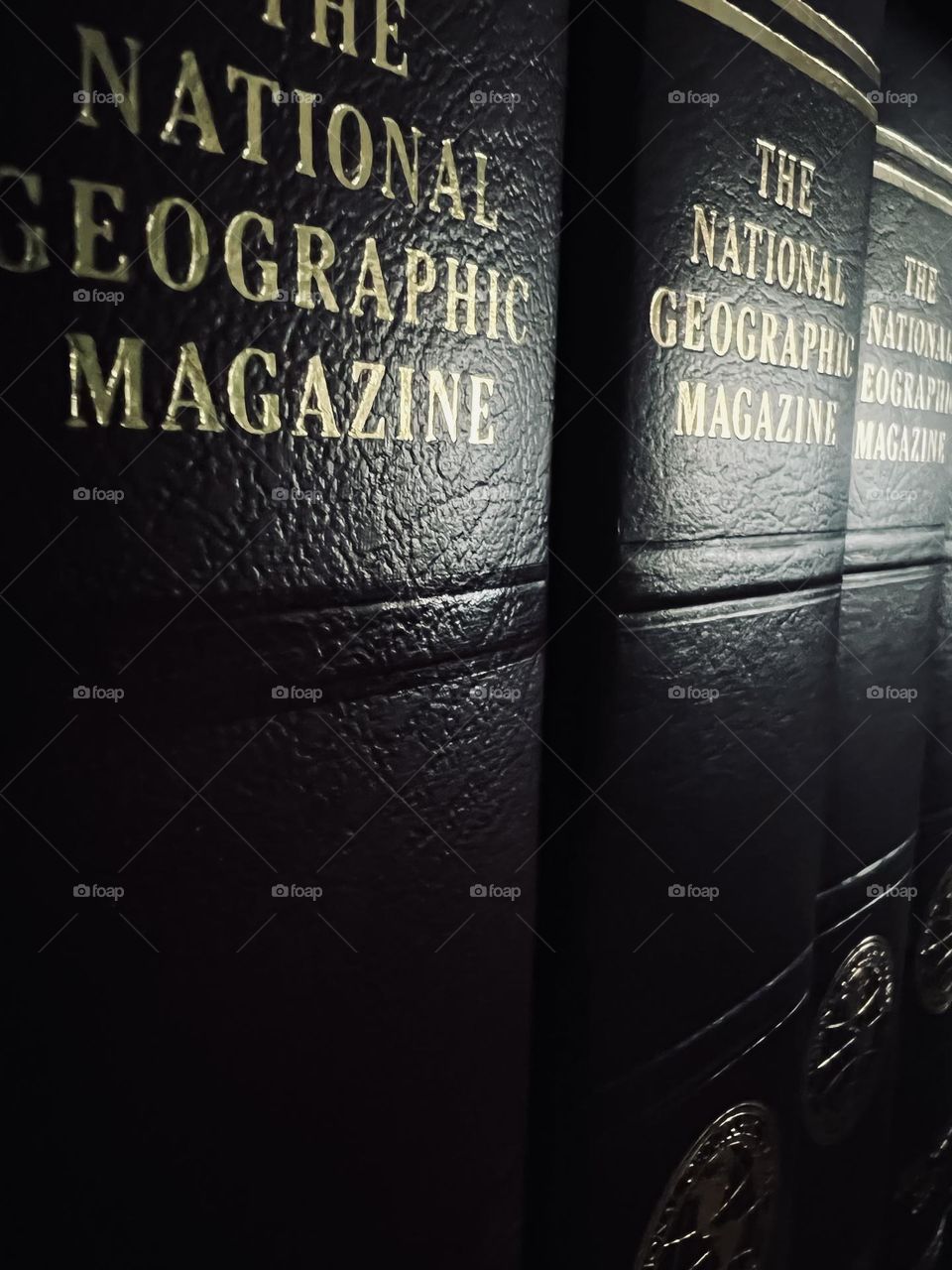 Book cases for collected National Geographic Magazines lined in a row with sunlight shimmering across the golden title on the binding.