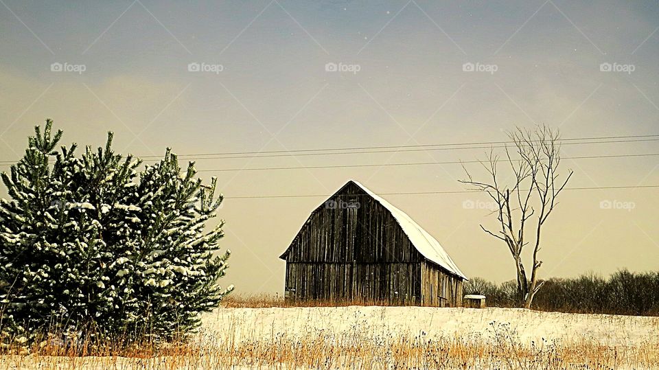 Isolation in the Winter