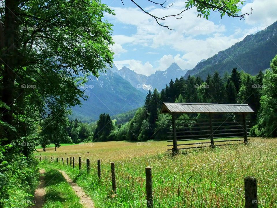 Summer walk in the mountains - path through meadows with traditional Slovenian hayrick and view down the valley to the Julian Alps.