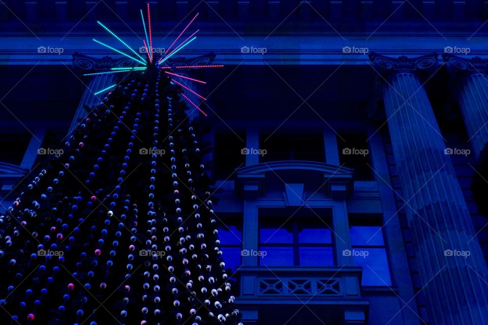 Big illuminated Christmas tree is in front of the classic style building. Background colour is blue.