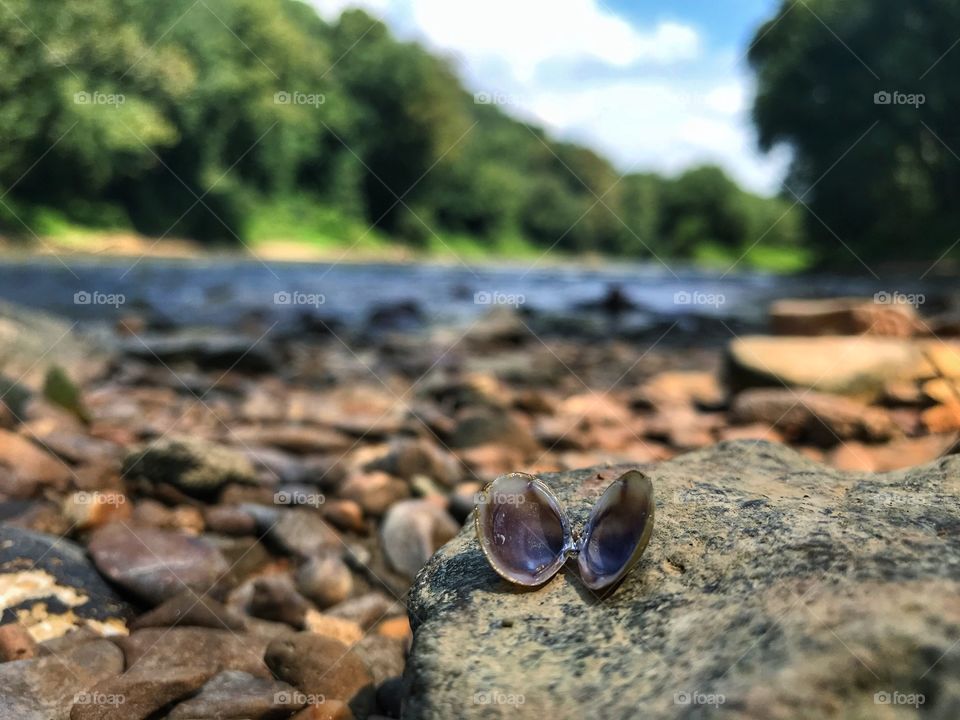 Sea shells by the sea shore 