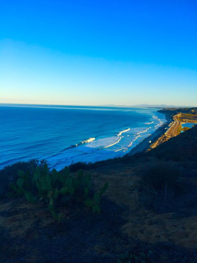 Torrey Pines Beach