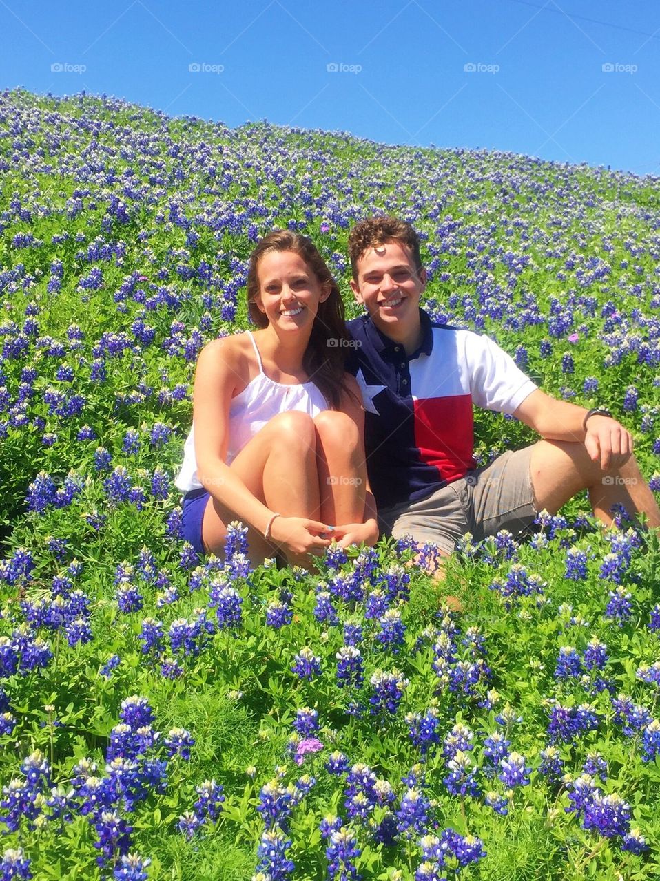 Texas bluebonnets