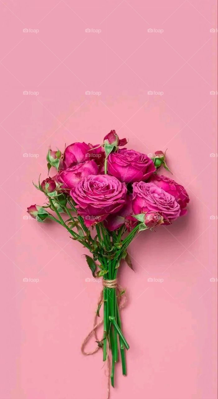 A very beautiful picture, and there is no better picture than it. There is no better picture of green herbs and colorful, red and white roses than it. Glory be to God, the natural and picturesque view, and there is no more wonderful picture than it.