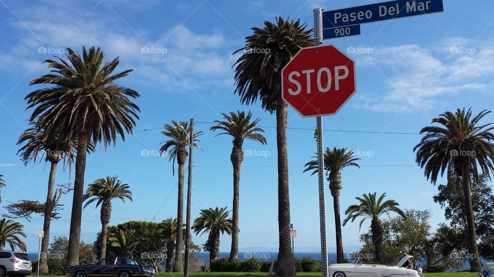 Ocean view strollin'