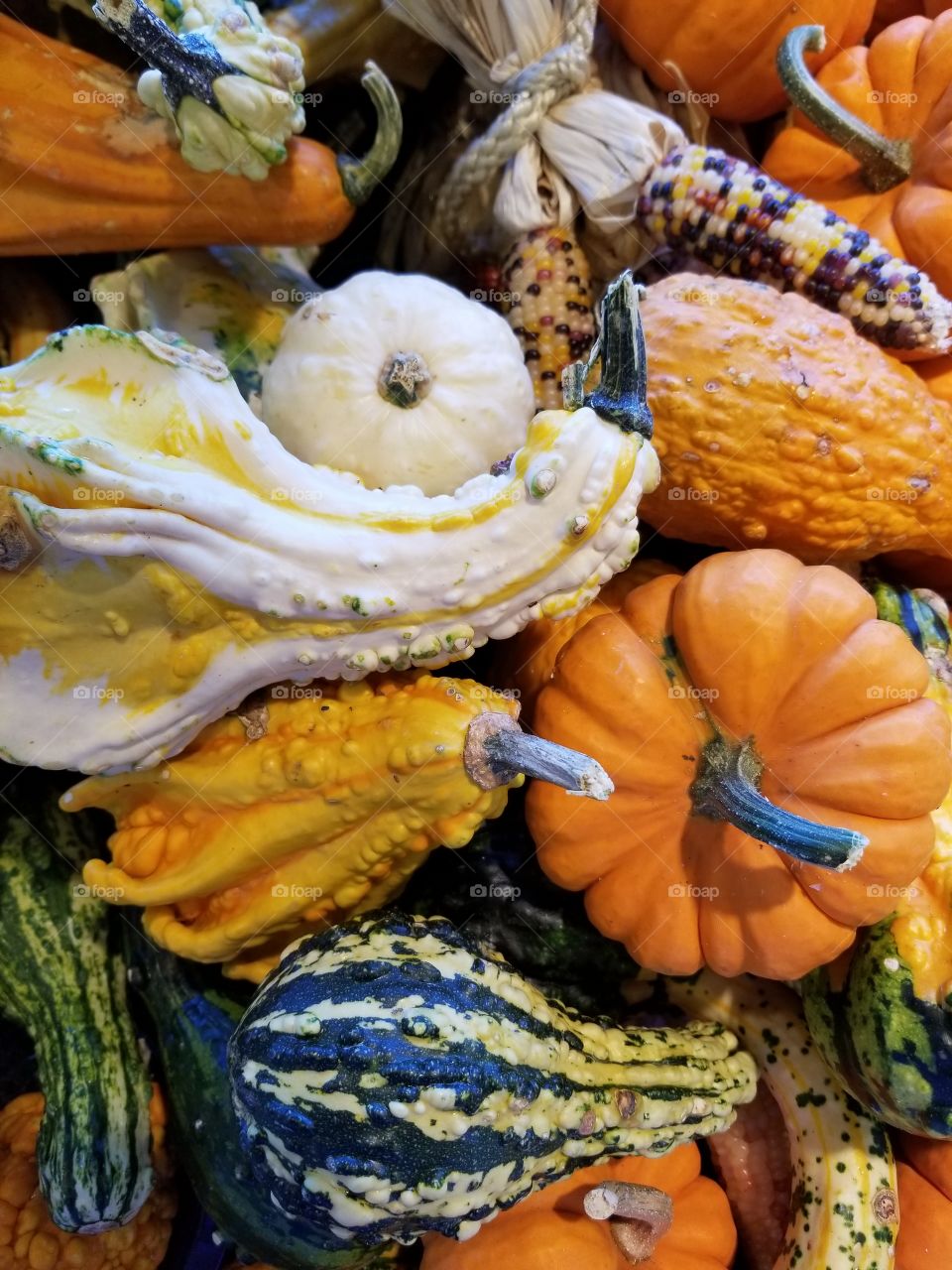 gourds gallore